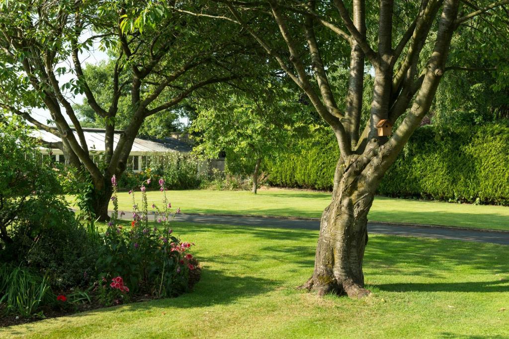 Hazel Manor Guest House Harrogate Eksteriør bilde